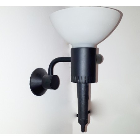 Status Kaiten Parete