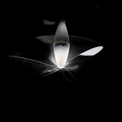 Luceplan Blow Ventilatore da Soffitto