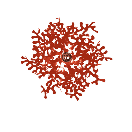 Lumen Center Leaves 21 Parete / Soffitto