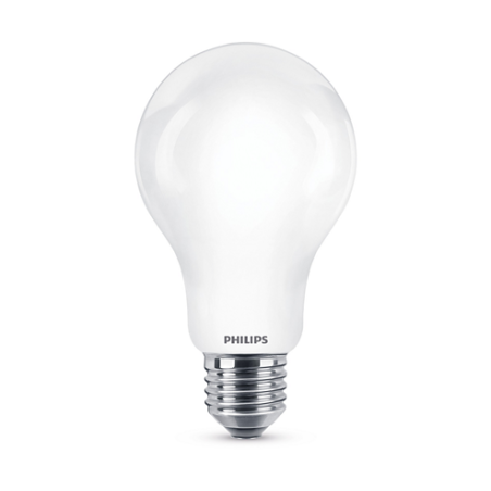 LAMPADINA E27 LED 20W 2700K