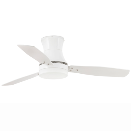 Ventilatore da Soffitto Tonsay Faro Prezzo