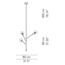 Modoluce Baobab Sospensione
