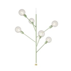 Modoluce Baobab Sospensione 6