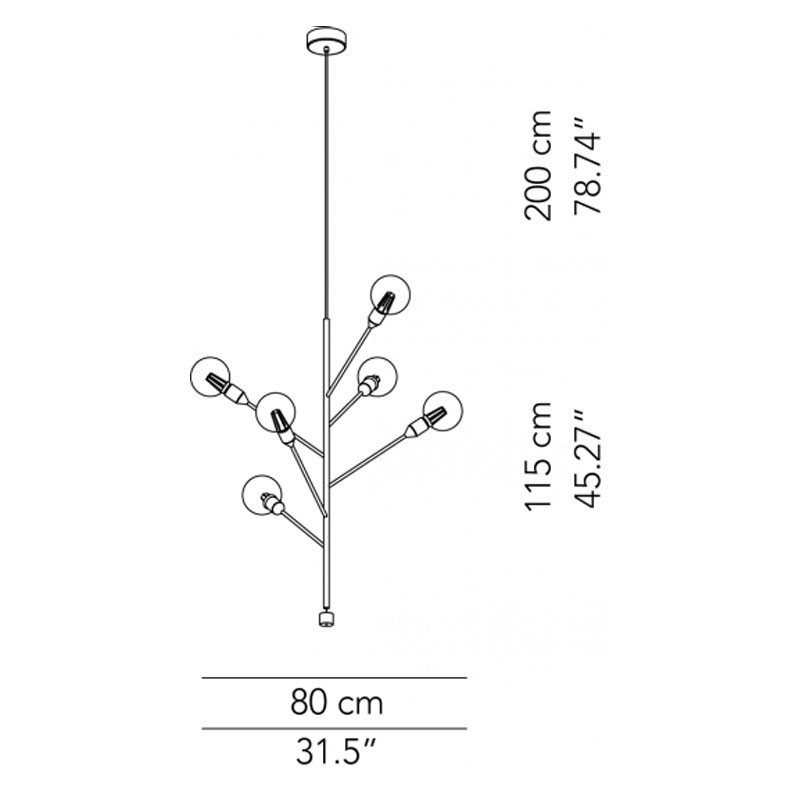 Modoluce Baobab Sospensione 6