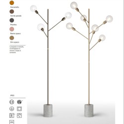 Modoluce Baobab Terra