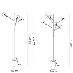 Modoluce Baobab Terra