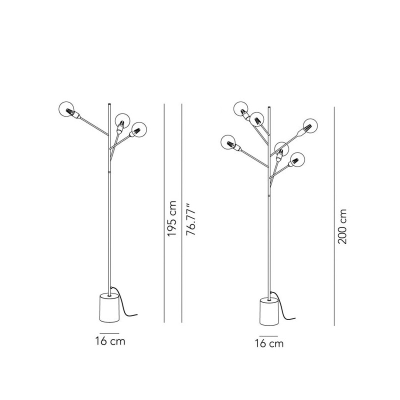 Modoluce Baobab Terra