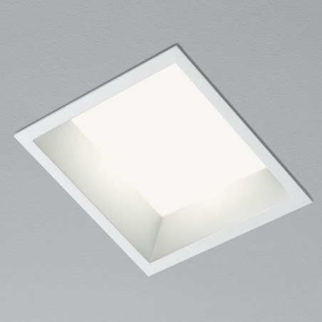 Aqlus Iro Faretto da Incasso