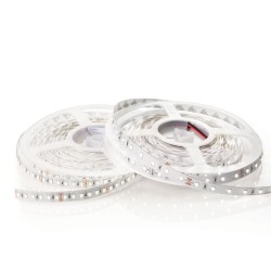 Strip LED 24V Novalux Prezzo