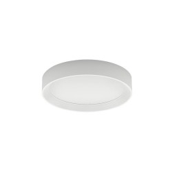 Lampada da Parete/Soffitto Tara Linea Light Prezzo